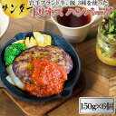 【ふるさと納税】サンダー トリオス ハンバーグ 150g×6個 肉バルサンダー 前沢牛 短角牛 岩中豚 ブランド豚 ブランド牛 花巻市