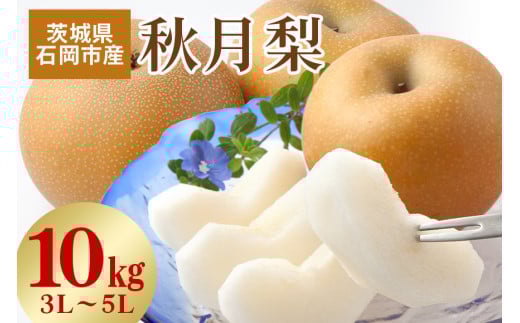 【 2025年 先行予約 】 秋月梨　3L～5L（二段10kg）梨 約 20玉 ～ 28玉 品種 秋月 あきづき なし ナシ 果物 フルーツ 大玉 3L 4L 5L サイズ 10キロ 9月 10月 発送 秋 旬 産地直送 農家直送 産直 国産 くだもの 甘い 茨城県産 茨城県 石岡市 送料無料 (A15-004)