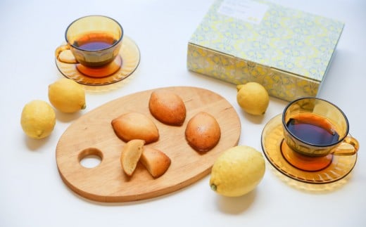 
            超しっとり！ぜいたくレモンケーキ 12個（6個×2箱）【菓子 おかし 檸檬 柑橘 果物 フルーツ 焼き菓子 スイーツ デザート ギフト 贈答 食品 人気 おすすめ 広島県 尾道市】
          