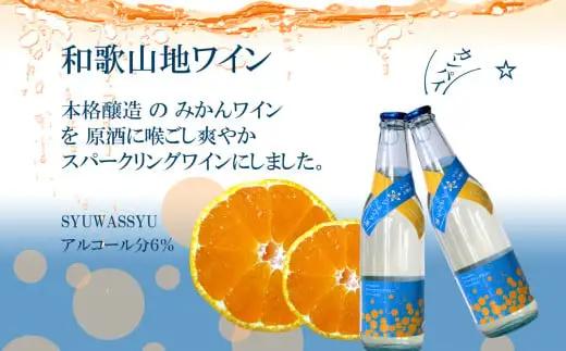 有田みかんスパークリングワイン6本セット（B1062-1）