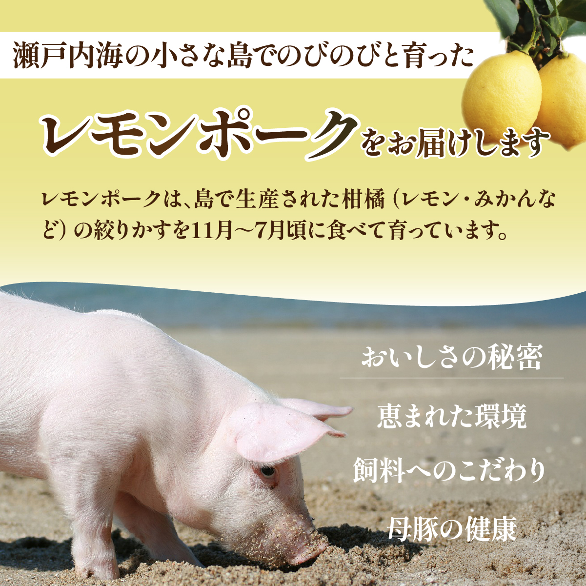 レモンポーク　ソーセージ・ハンバーグセット 各3食 合計 約1.1kg 【配送不可地域：離島】【1314480】
