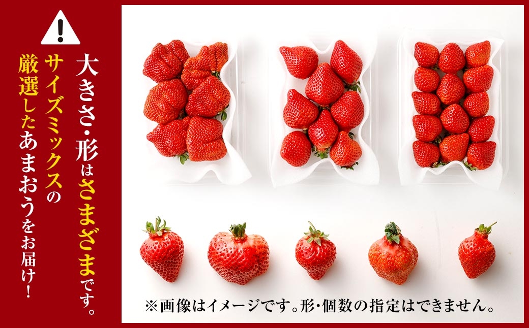 【3回定期便】博多あまおう2パック