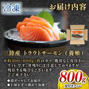 サーモン 800g 国産 刺身 ＼ サーモン ／