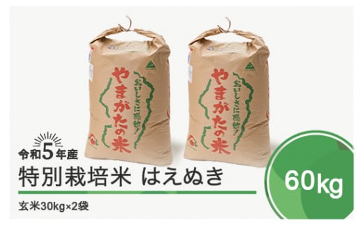 
令和5年産 米 はえぬき 60kg 大石田町産 特別栽培米 玄米
