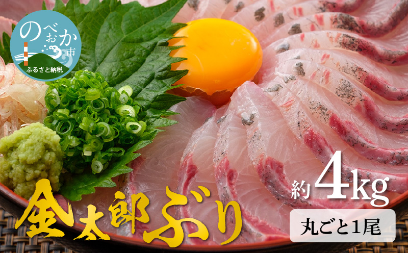 宮崎産 新海屋 鰤屋金太郎 金太郎ぶり 丸ごと 1尾 約4kg以上 N018-ZB820