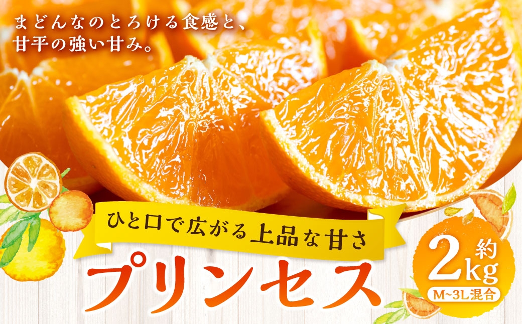 
                  【 ひと口で広がる上品な甘さ 】 プリンセス （ 紅プリンセスと同品種 ） 約2kg みかん ミカン くだもの 果物 フルーツ 柑橘 柑橘系 柑橘類 果実 果汁 果肉 国産 愛媛県産 旬 【 2027年2月下旬～3月下旬発送予定 】 ( 1073 )
                