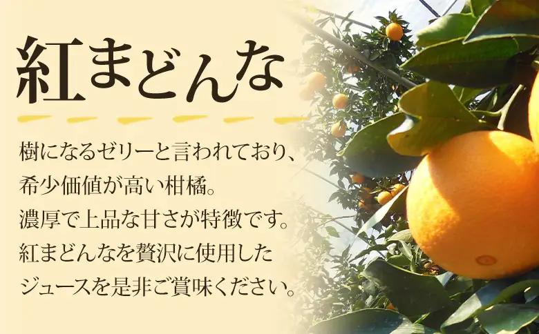 ＜紅まどんなジュース 720ml×2本セット＞ 『1か月以内に順次出荷予定』果汁100％ストレートジュース デザート アソート みかん 果物 マドンナ フルーツ くだもの 柑橘類 濃厚 飲料 ドリンク