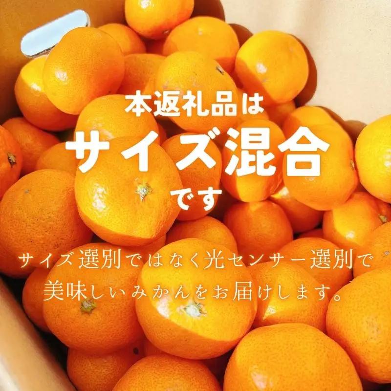 みかん 【2026年11月発送予約分】【家庭用】こだわりの有田みかん 約2kg【nuk159-11】