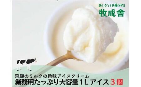 飛騨の牛乳屋 牧成舎 ミルクの旨味たっぷり 業務用 １L アイスクリーム 3種 合計3Ｌ アイス 冷菓 お菓子 おかし おやつ 乳製品 ギフト プレゼント バレンタイン ホワイトデー 母の日 牧成舎 DF007