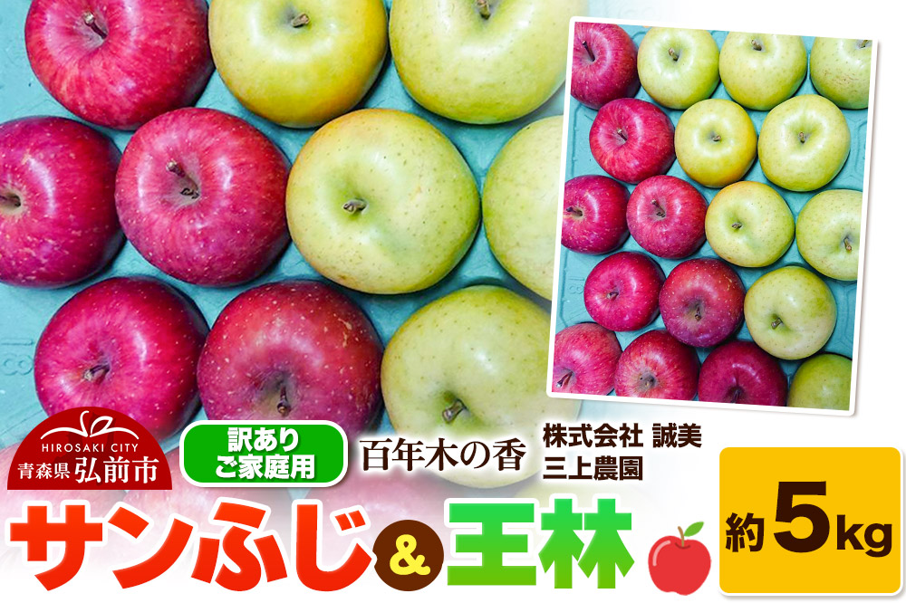 りんご【先行受付】【訳あり】家庭用 百年木の香 三上農園 サンふじ ＆ 王林 約5kg