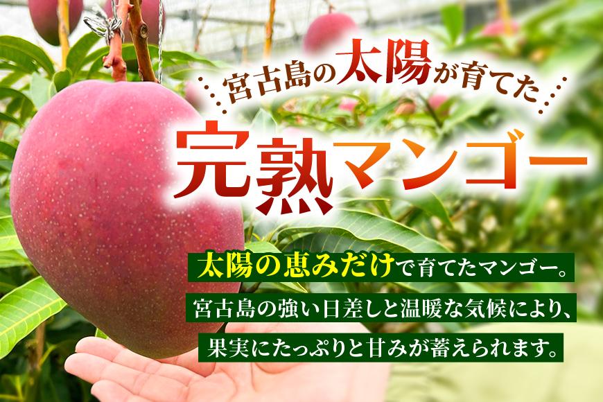 【家庭用】宮古島産マンゴー4kg ＜リトルグローブ＞（LT005）