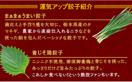 宇都宮餃子 運気アップ餃子  チーズ鶏餃子 20個 保存料不使用【 餃子 ぎょうざ 冷凍餃子 冷凍食品 惣菜 栃木県 宇都宮市 】※配送不可地域:離島