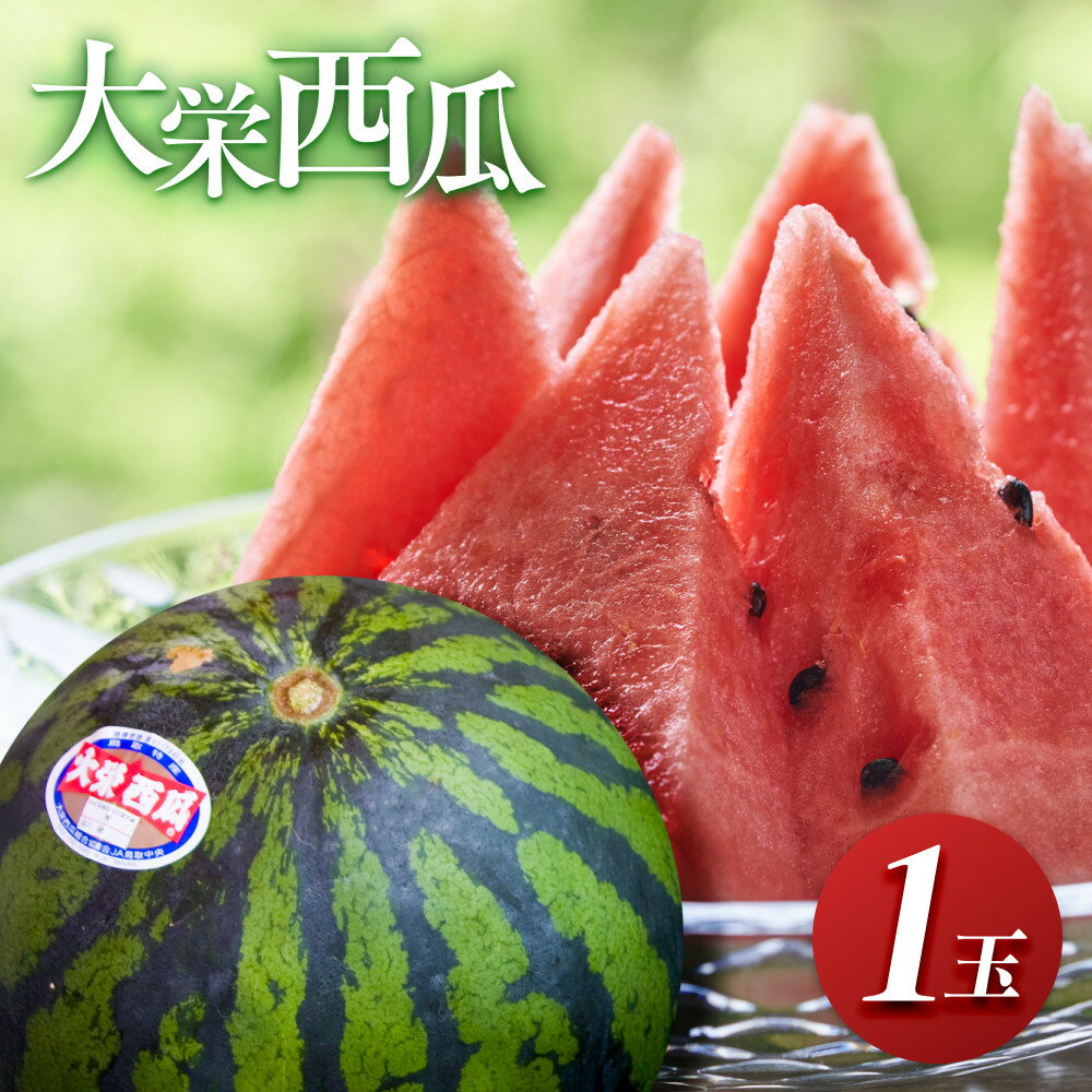 【ふるさと納税】＼2026年産先行予約／ 大栄西瓜 1玉 すいか ※2026年6月中旬～7月中旬頃に順次発送予定 | 西瓜 スイカ 果物 フルーツ くだもの 鳥取県 北栄町 おすすめ 人気 送料無料