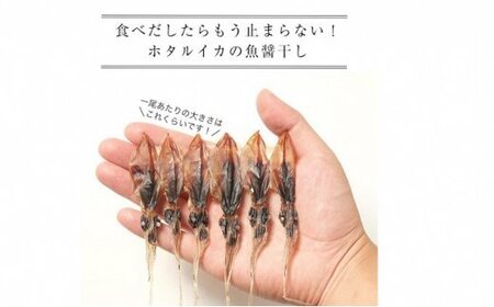 越中氷見屋　ホタルイカ 魚醤干し 18尾入り × 11袋　【魚貝類・加工食品・イカ・ホタルイカ】