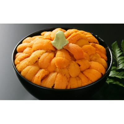 ふるさと納税 登別市 訳あり!無添加エゾバフンウニ塩水パック300g |  | 01
