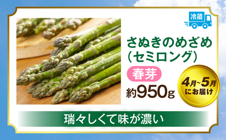 さぬきのめざめ定期便 | 野菜 定期便 アスパラ アスパラガス さぬきのめざめ 料理 柔らかい 濃い 春 夏 シャキシャキ 食感 冷蔵 新鮮 セミロング おすすめ 旬の野菜 季節の野菜 贈答 贈り物 