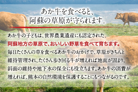 肥後のあか牛 焼肉用  1000g アントレ 牛肉 あか牛 赤牛 あかうし《30日以内に出荷予定(土日祝除く)》