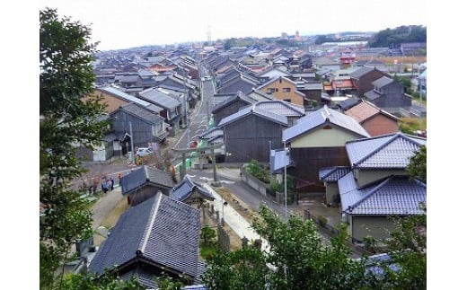 諏訪神社展望台から望む旧街道筋の八橋の町並みです。