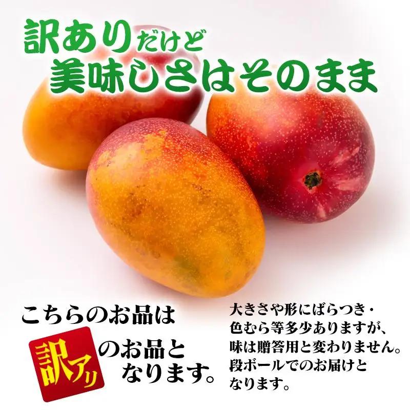 【先行予約】2027年発送 訳あり よくばり完熟マンゴーセット3玉 約1.2kg 宮崎県西都産 生産者直送【マンゴー専門 スターフルーツカンパニ】＜33-1ｂ＞