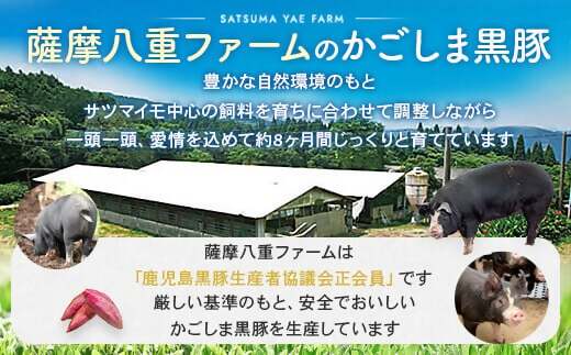 CS-219 かごしま黒豚ロース肉しゃぶしゃぶ用 500g×隔月3回定期便