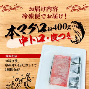 【価格改定予定】マグロ 中とろ トロ 冷凍 本マグロ 400g 鮪 海鮮 晩酌 刺し身 さしみ 柵 皮付き 酒のつまみ ( ﾏｸﾞﾛ 訳あり まぐろ ﾏｸﾞﾛ 訳あり まぐろ ﾏｸﾞﾛ 訳あり まぐろ