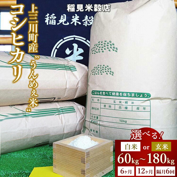 【ふるさと納税】【選べる容量・精米方法】栃木県上三川町産コシヒカリ 10kg 30kg | 定期便 国産 栃木県産 コシヒカリ 米 お米 単一原料米 精米 白米 玄米 栃木米 とちぎ米 産地直送 6ヶ月 12ヶ月 隔月 ※2025年10月より順次発送予定