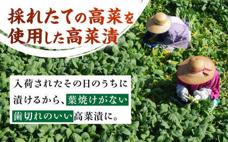 老舗逸品 恵み高菜漬け3種セット 吉富町/株式会社若山食品[BGAX002]