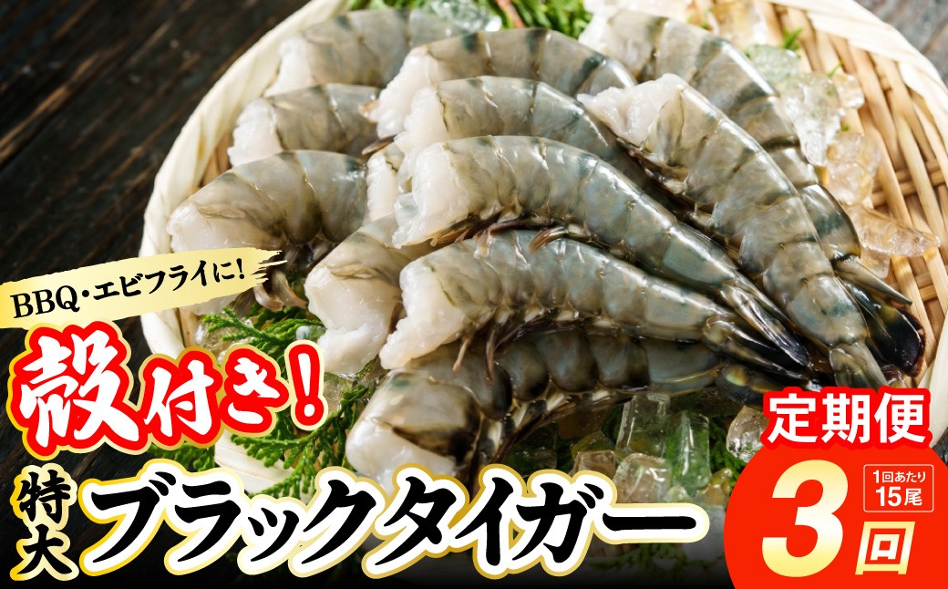
                  【3回定期便】超特大 約15㎝ ブラックタイガー 無頭えび 570g前後（15尾）×3回 ｜海老 えび エビ エビフライ 海老フライ えびフライ エビチリ 天丼 海鮮丼 すし スシ 寿司 ブラックタイガー 大型 大容量 海鮮 魚介 殻付き ギフト 進物 贈答 贈り物 誕生日 おくりもの プレゼント 冷凍 大阪府 阪南市
                