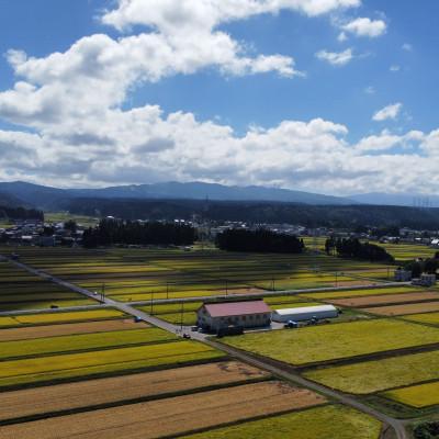 ふるさと納税 十日町市 令和7年産 ゆうだい21 2kg |  | 01