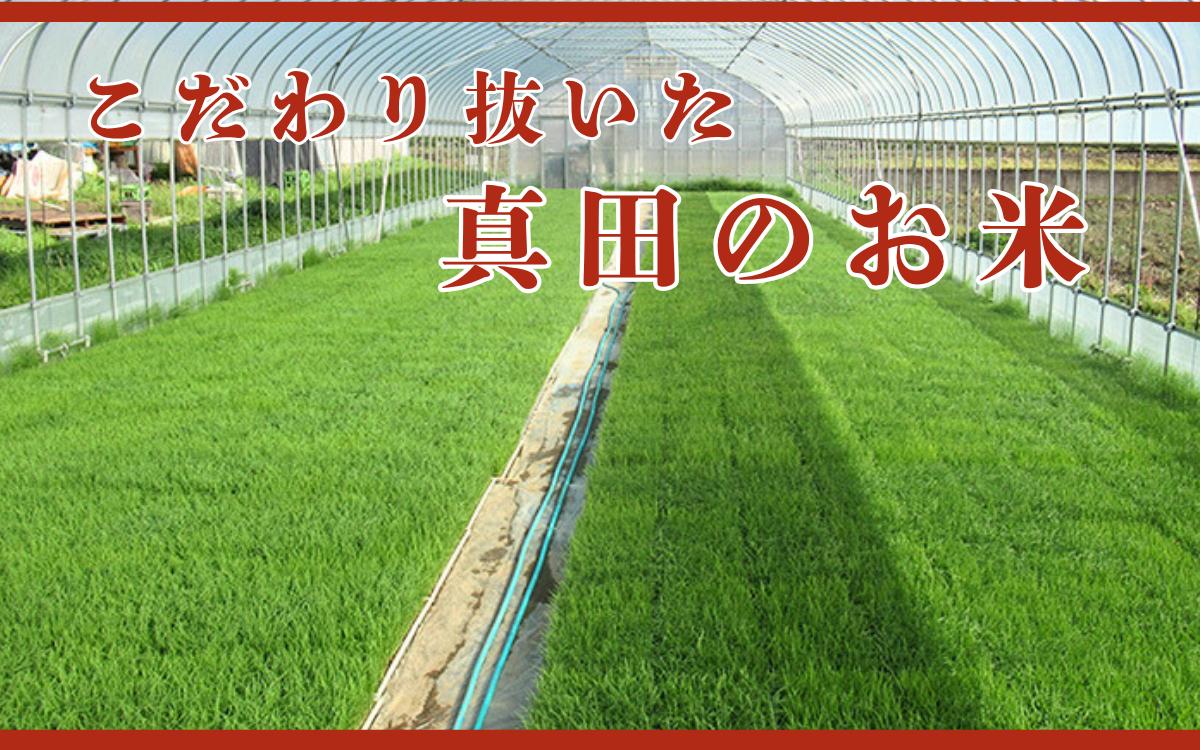 【ふるなびWEEK対象】米 令和7年産 関口さんちのお米 コシヒカリ 10kg お米 こめ コメ 精米 白米 ご飯 こしひかり 長野 信州 FN-Limited-WE