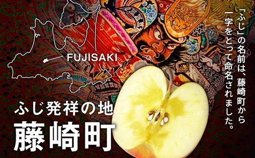 【先行予約】シナノゴールド 訳あり 約4kg（10～20個）りんご リンゴ 林檎 果物 フルーツ  F41-0029