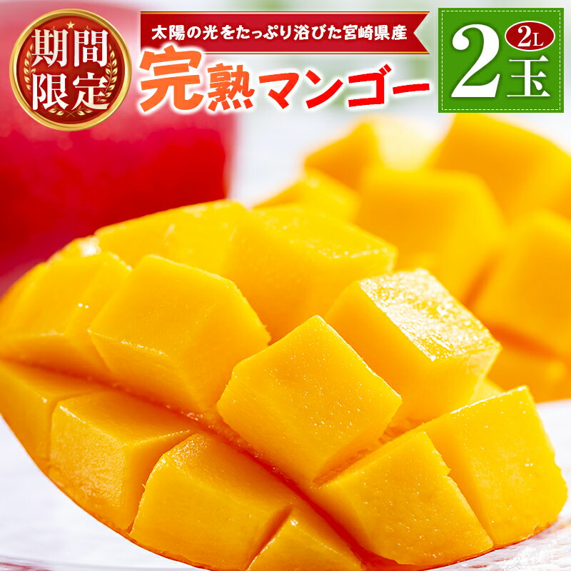 【ふるさと納税】宮崎県産 完熟マンゴー 2Lサイズ×2玉（1玉350～459g） 宮崎 トロピカル フルーツ お取り寄せ 果物 旬