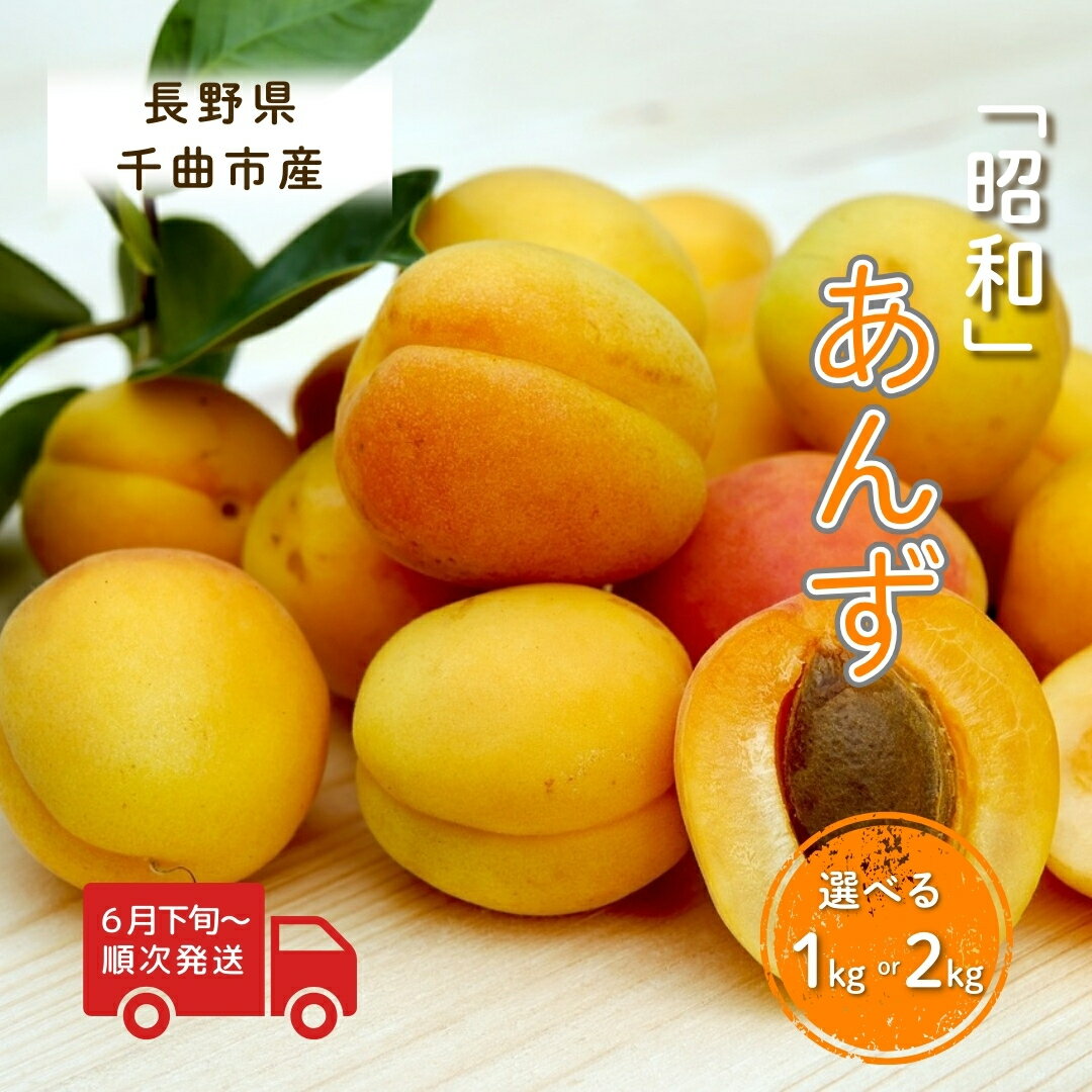 【ふるさと納税】【2025年先行予約】 【6月下旬~発送予定】あんず 選べる 1kg 2kg 「昭和」島田農園 杏 アプリコット 限定 千曲市 長野県 信州