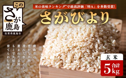 【鹿島市産】先行受付＼生産者直送／ さがびより 玄米5kg　さがびより 佐賀県産さがびより 佐賀県鹿島市 お米 米 精米 玄米 ふるさと納税 お米 ご家庭用米 主食ギフト 美味しいお米 お取り寄せ 贈答用米 C-152