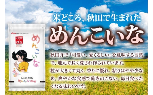 米《定期便3ヶ月》ひとめぼれ・めんこいな【白米（一般精米）】 米どころ秋田県産 令和8年産 精米 8kg（2kg×4袋） [米 お米 こめ 白米 精米 ひとめぼれ めんこいな ブランド米 小分け ご飯