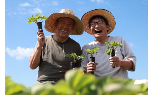 福岡県産　桃薫　2パックセット【ナチュレッシュ・ファーム・ジェイピー】_HA1338