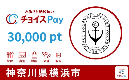 
                  横浜市チョイスPay 30,000pt【会員限定のお礼の品】
                