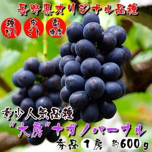 厳選!濃厚大房ナガノパープル　秀品　1房(約600g)【配送不可地域：離島】【1234909】