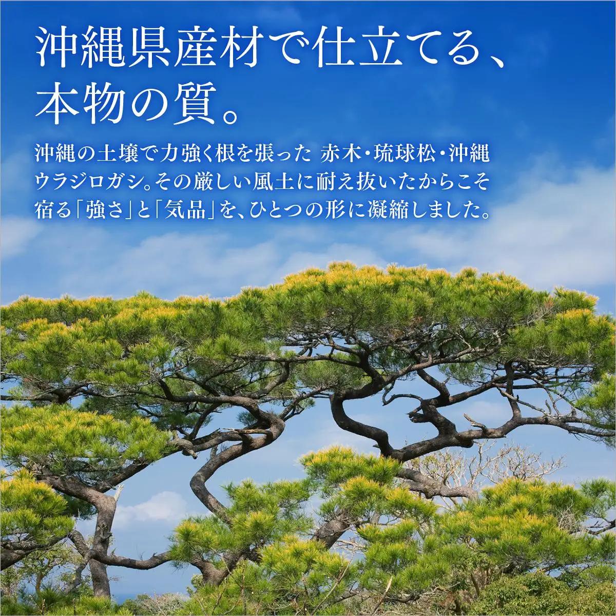 ボールペン（ノック式）３本セット   