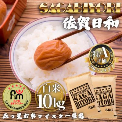 ふるさと納税 多久市 令和7年産 さがびより白米10kg(5kg×2袋)(多久市)