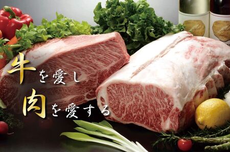 神戸牛(神戸ビーフ) 訳あり 焼肉用（不揃い）（ばら・もも・かた）　500ｇ