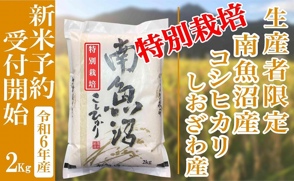 【新米予約・令和6年産】精米２Kg 【特別栽培】生産者限定 南魚沼しおざわ産コシヒカリ