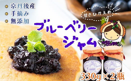たっぷりサイズブルーベリージャム（甘さ控えめ）330g×２　ジャム 無添加 手作り 加工食品 ぶるーべりー じゃむ フルーツ 果物 アントシアニン 完熟 国産 朝食 朝ごはん トーストヨーグルト 生産者応援 農家応援 送料無料　FG00008