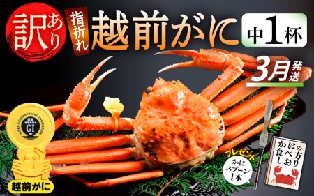 【訳あり】≪浜茹で≫指折れ 越前がに（中） × 1杯 【3月発送分】 食べ方しおり かにスプーン付き【雄 ズワイガニ ずわいがに 越前ガニ 姿 ボイル 冷蔵 福井県】希望日指定可 備考欄に希望日をご記入ください [e15-x003_03]