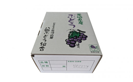 《 2026年 収穫分 》 シャインマスカット 1.2kg 2～3房 (桜川市・石岡市共通返礼品) 先行予約 石田ぶどう園 国産 茨城県 桜川市 マスカット ぶどう ブドウ 葡萄 果物 くだもの フルーツ 旬 人気 採れたて 新鮮 産地直送 秋 贈答 ギフト [FB006sa]
