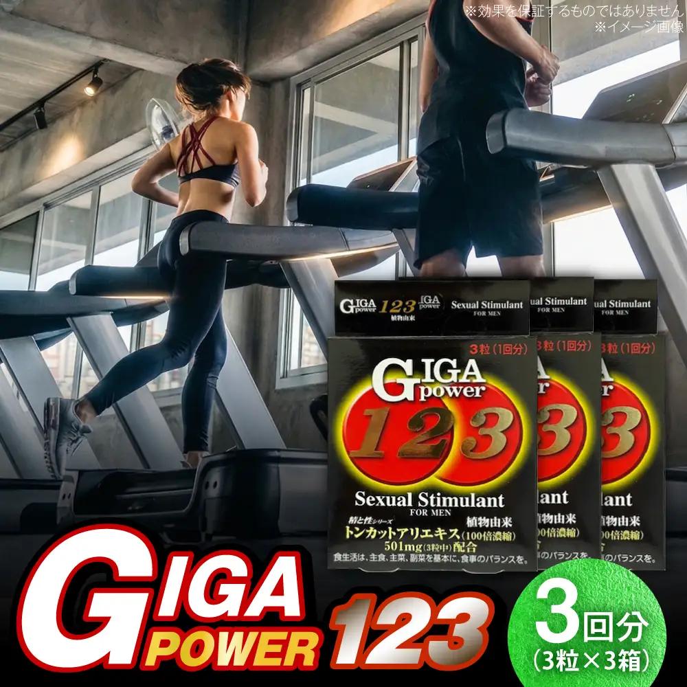 サプリ ギガパワー 123 3粒 3箱セット サプリ BLAX010