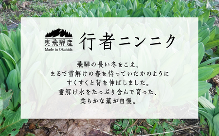 ピリッと旨い！ご飯のお供 ！ 行者ニンニクだし醤油漬け 2個 おつまみ ごはん おかず 米  [Q3204]