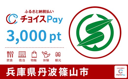 
            丹波篠山市チョイスPay 3,000pt【会員限定のお礼の品】
          