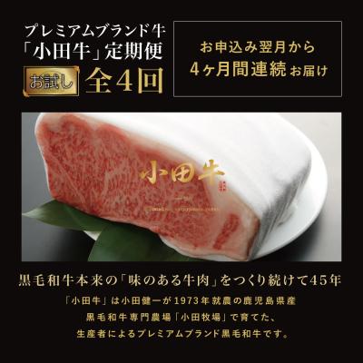 ふるさと納税 南さつま市 【全4回 プレミアムブランド和牛「小田牛」定期便 (お試し)】 鹿児島県産黒毛和牛 |  | 01