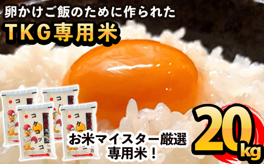 D-052 《令和7年産》日本初！卵かけご飯専用米!コケコッコ(TKG専用米)計20kg(5kg×4パック)【山口米店】お米 精米 白米 米 お米 こめ コメ